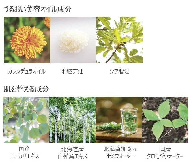 ●うるおい美容オイル成分 ・カレンデュラオイル（トウキンセンカ花エキス、オリーブ果実油 ） ・コメ胚芽油 ・シア脂油　●肌を整える成分 ・国産ユーカリ葉エキス ・北海道産白樺葉エキス（シラカンバ葉エキス） ・北海道釧路産モミウォーター（トドマツ葉エキス ） ・国産クロモジウォーター（クロモジ葉/枝水）