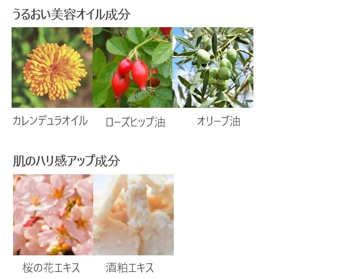 ●うるおい美容オイル成分 ・カレンデュラオイル（トウキンセンカ花エキス、オリーブ果実油 ） ・ローズヒップ油 ・オリーブ果実油　●肌のハリ感アップ成分 ・桜の花エキス（サトザクラ花エキス） ・酒粕エキス
